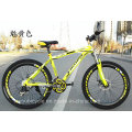 Haute qualité bas prix 24s personnalisable VTT vélo de montagne